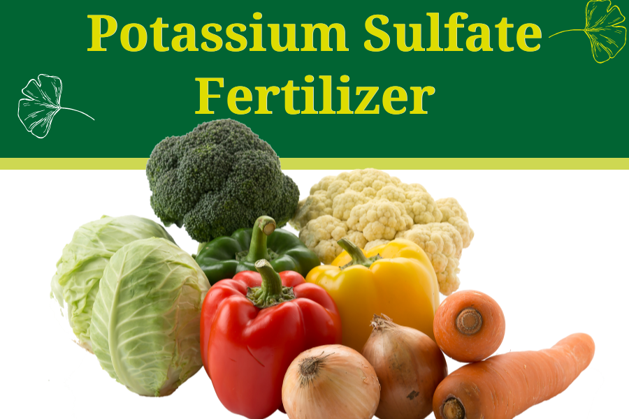 Potassium Sulfate Fertilizer