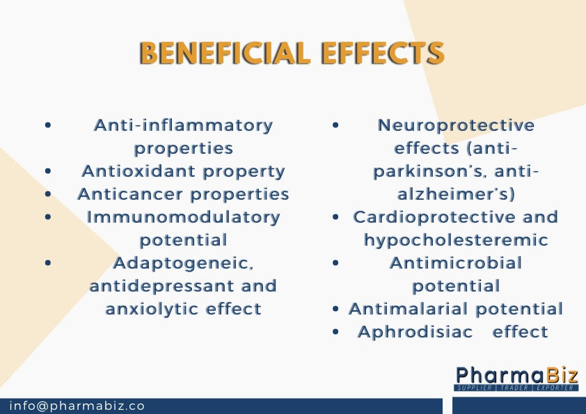 Ashwagandha | Indian ginseng | Withania Somnifera